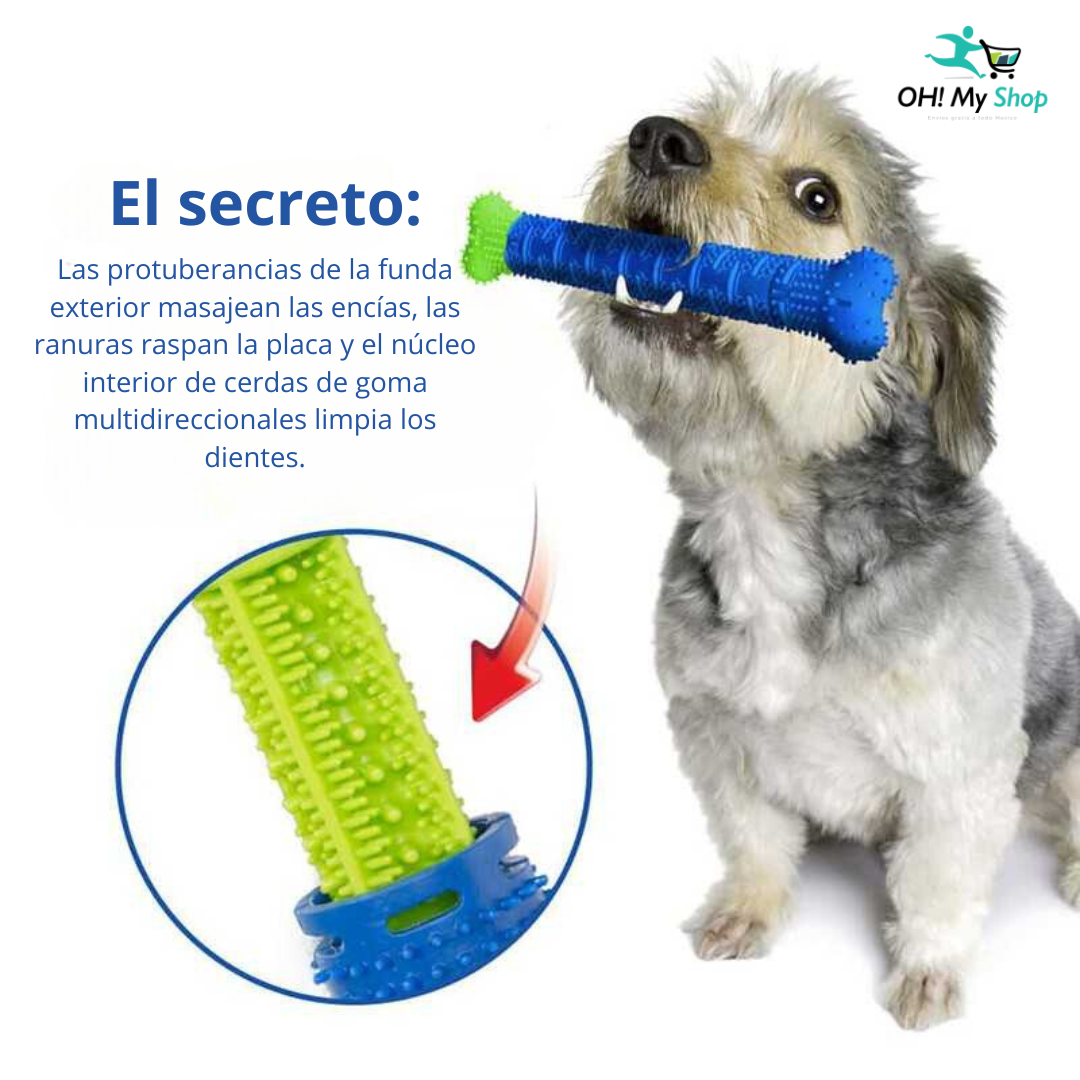 Cepillo de dientes para mascota