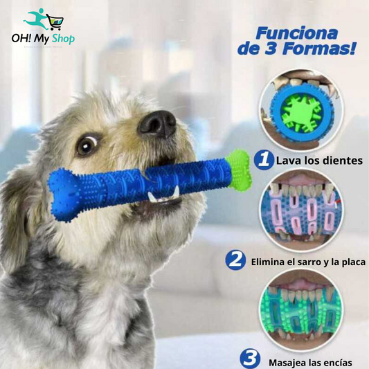 Cepillo de dientes para mascota