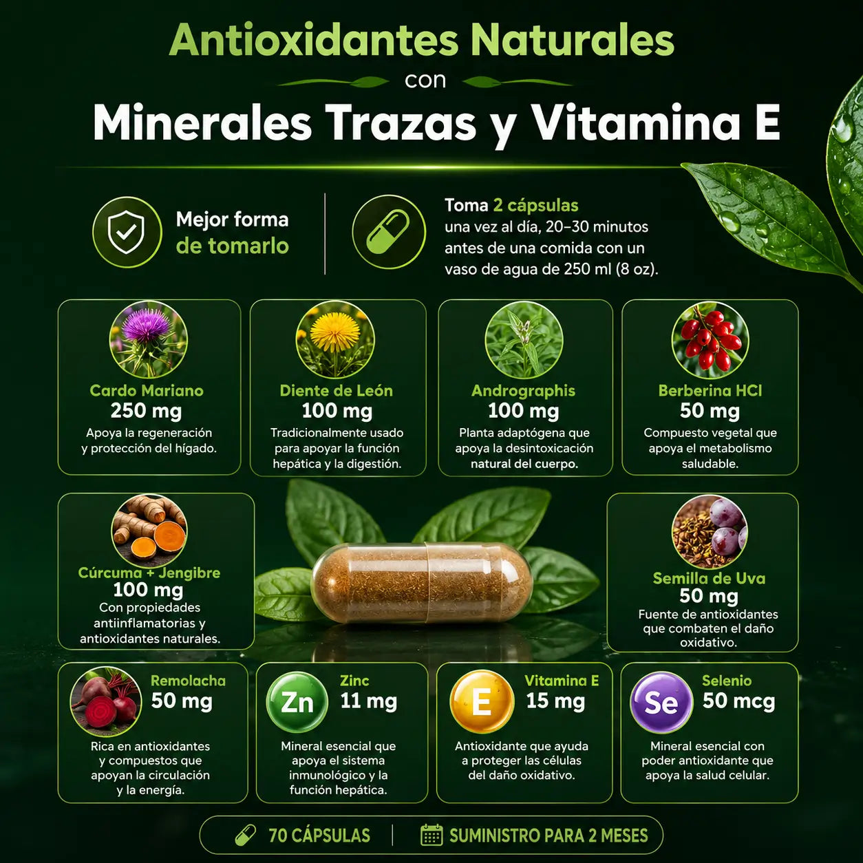 ¡PROMO 2X1! Suplemento Liver Zen Detox®️: Bienestar y equilibrio en solo 2 cápsulas al día.