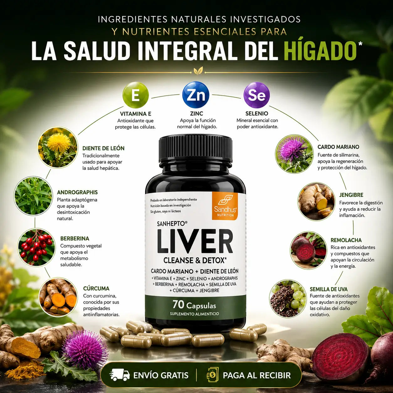 Encabezado