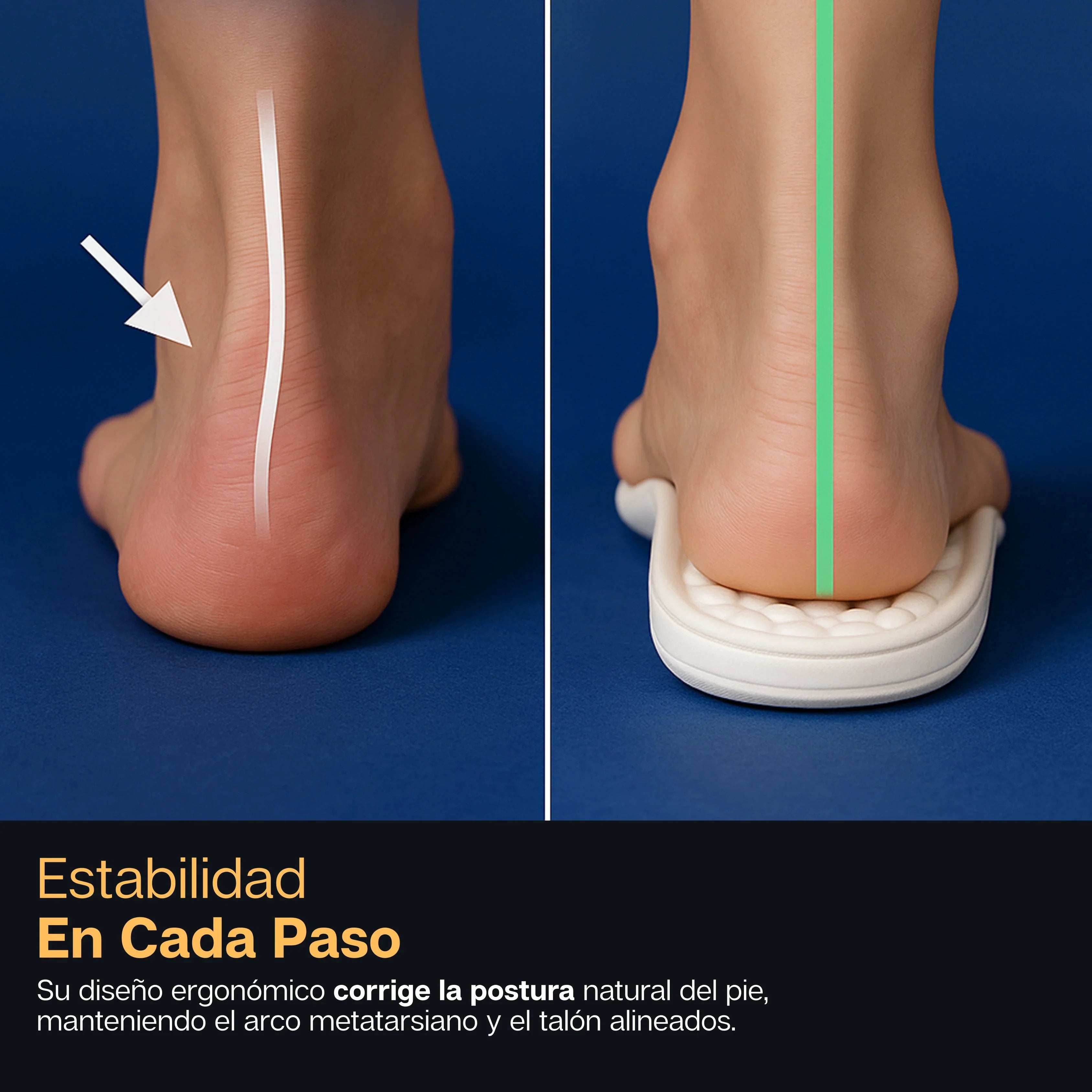 Encabezado